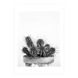 Cactus nature II (Print Only) thumbnail