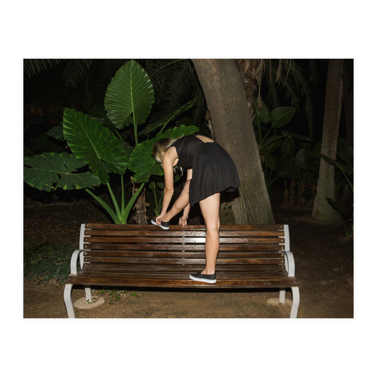 Slow Dancing Society (Print Only)