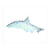Barbel Fish (Print Only) thumbnail