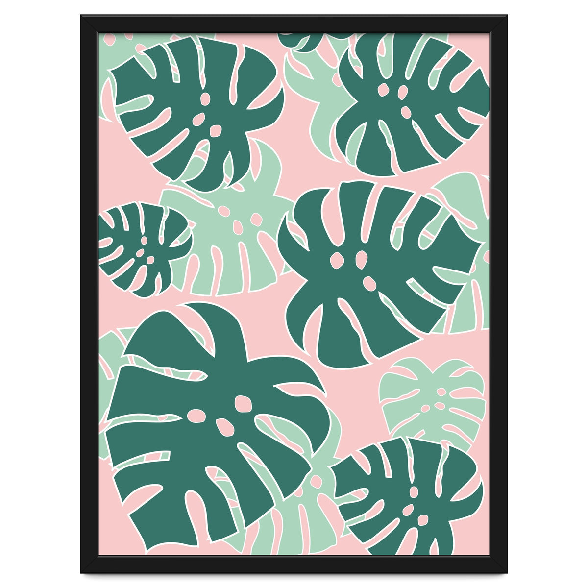 Monstera Tropical