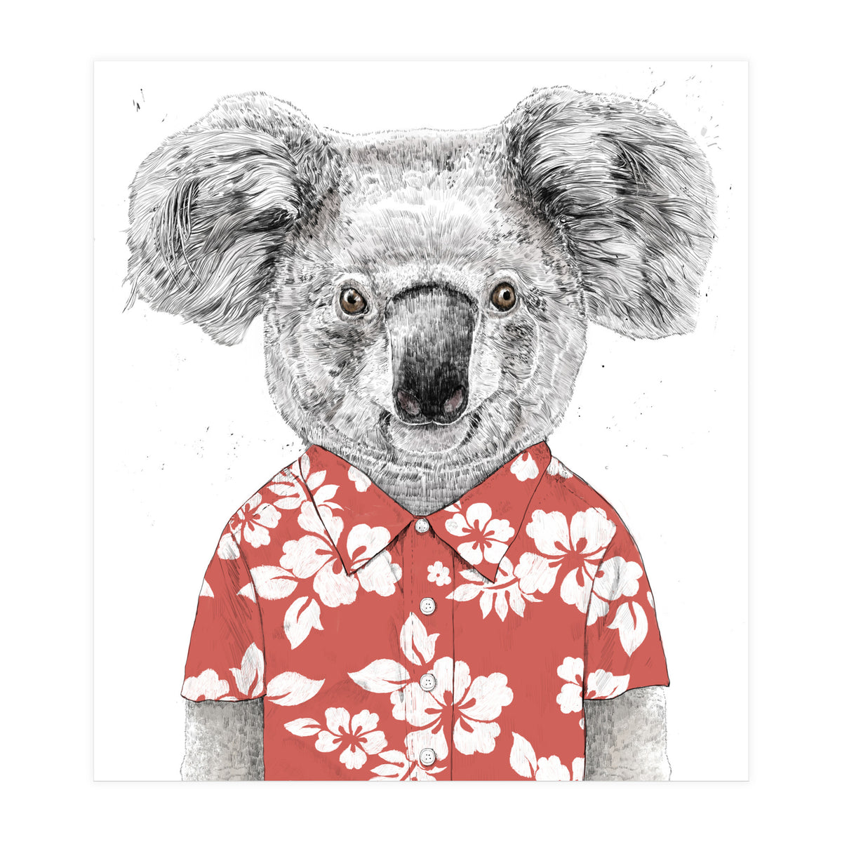 Summer Koala  (Print Only)