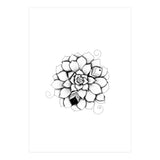 Poetic Echeveria Plant (Print Only) thumbnail