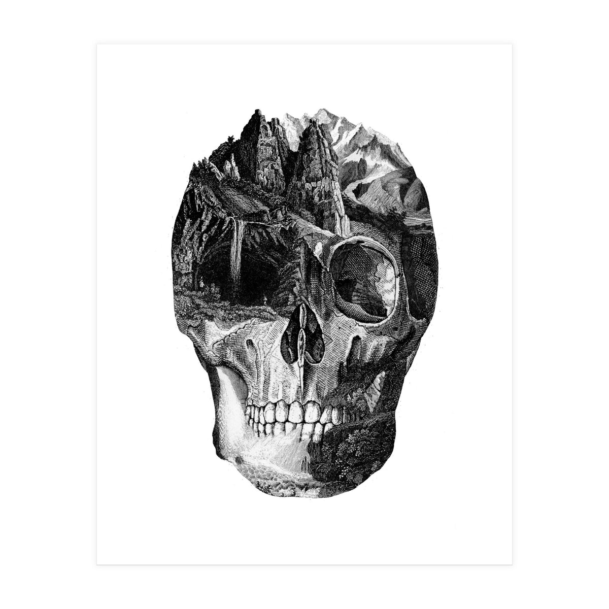 The Final Adventure (Print Only)