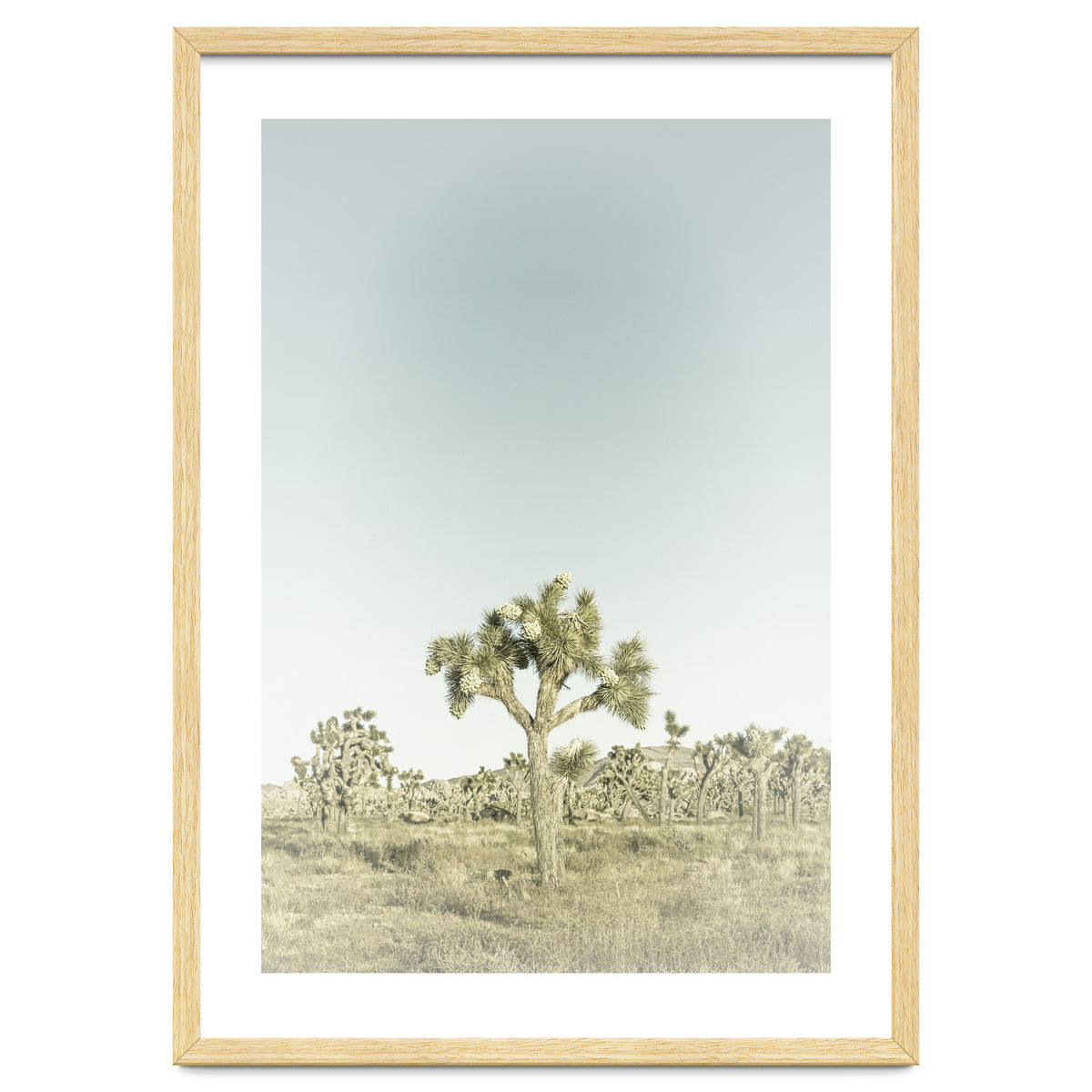 Vintage Joshua Tree
