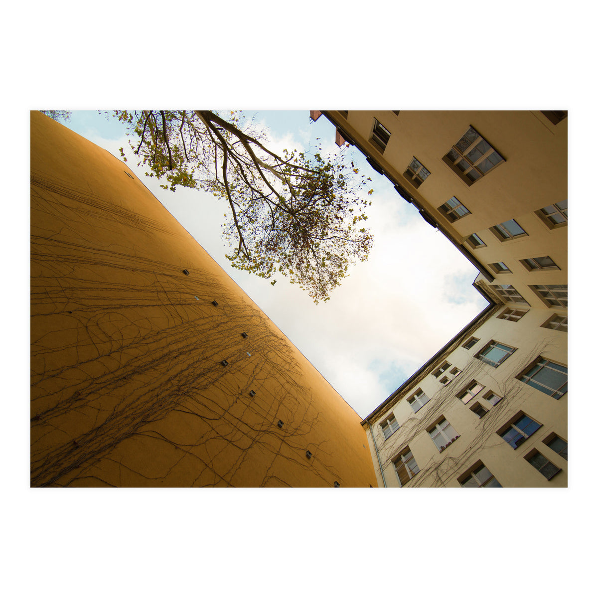 Hinterhof 74 (Print Only)