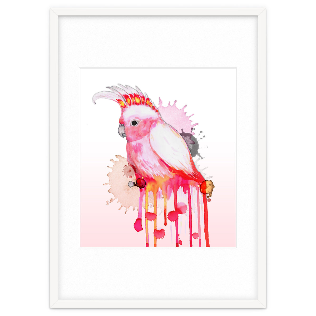 Major Mitchell's cockatoo