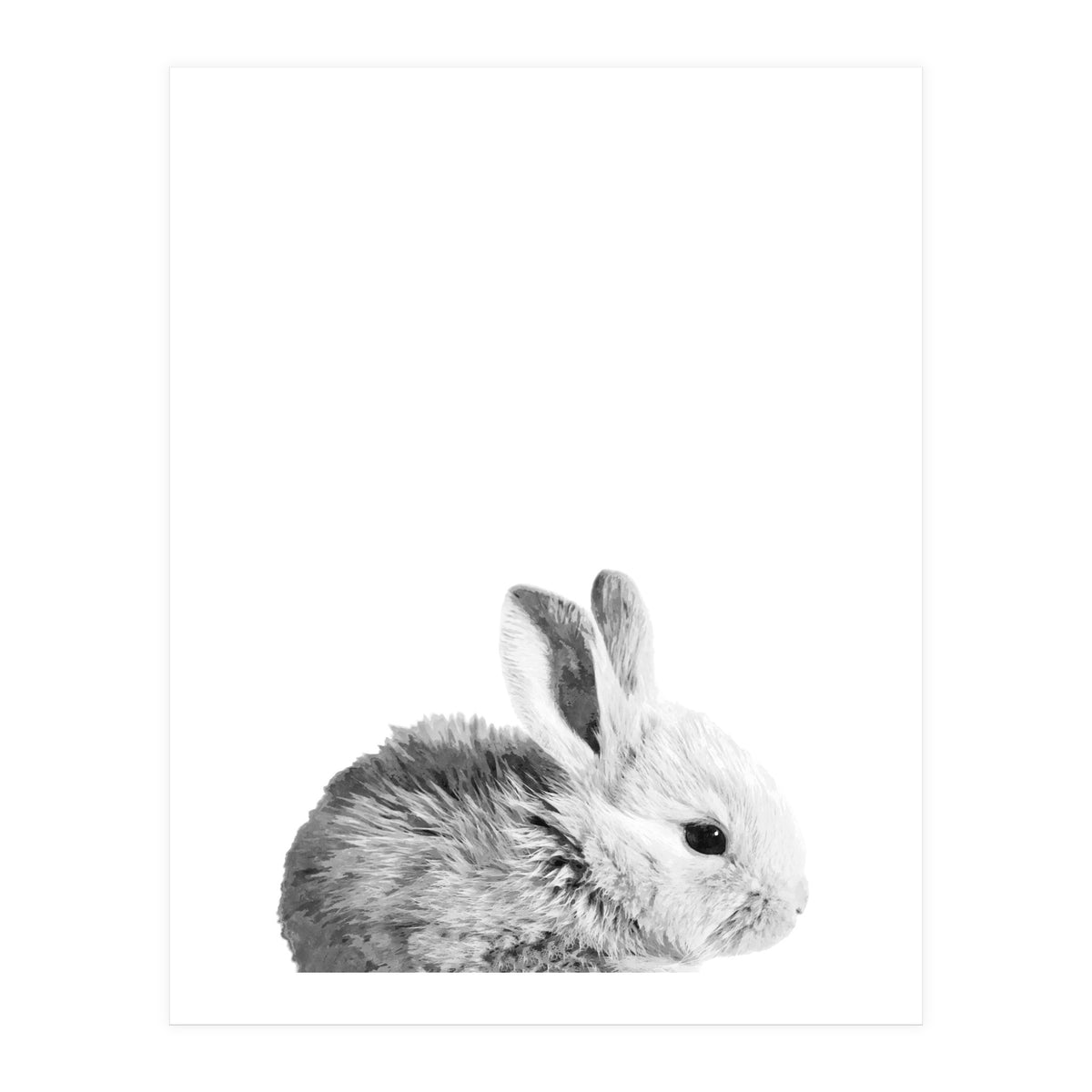 Black and White Bunny Portrait (Print Only)