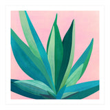 Southwest Agave (Print Only) thumbnail