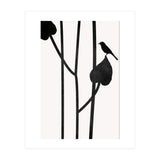 The Bird Noir (Print Only) thumbnail