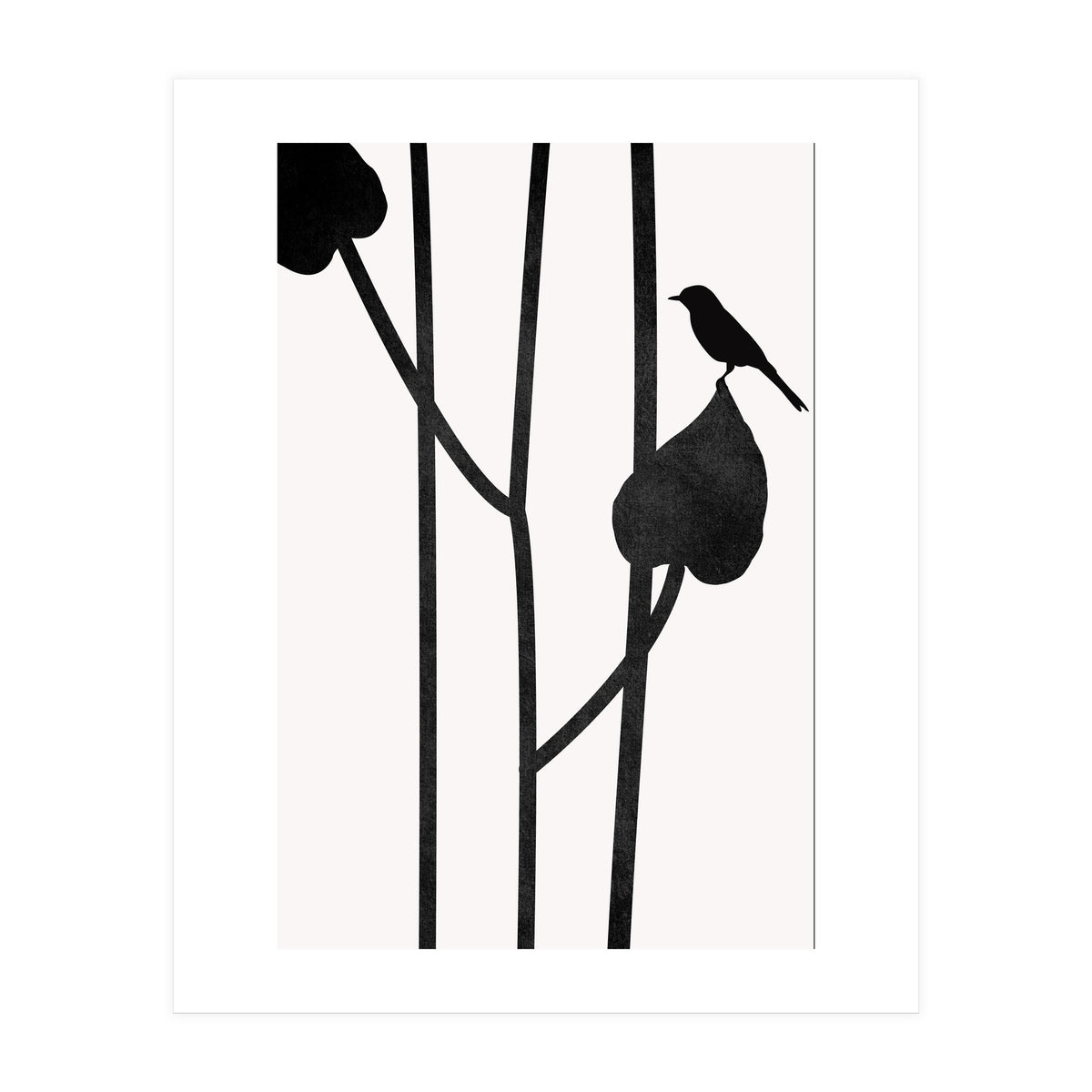 The Bird Noir (Print Only)