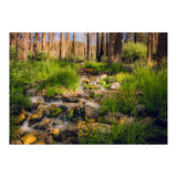 San Gorgonio Stream (Print Only) thumbnail