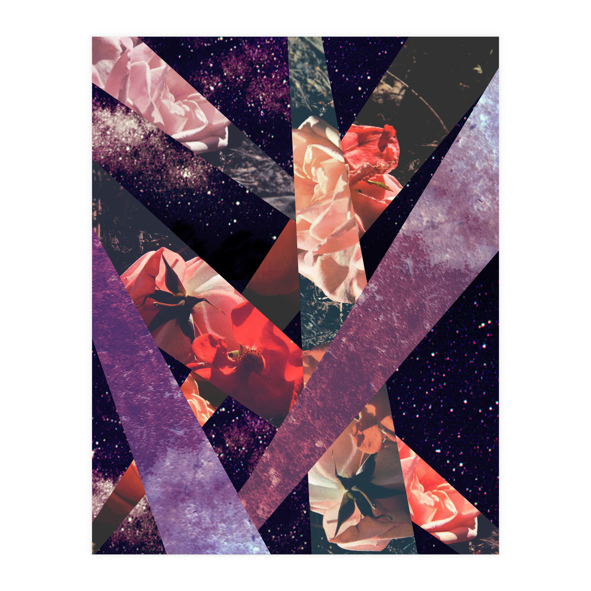 Roses In The Galaxy (Print Only)