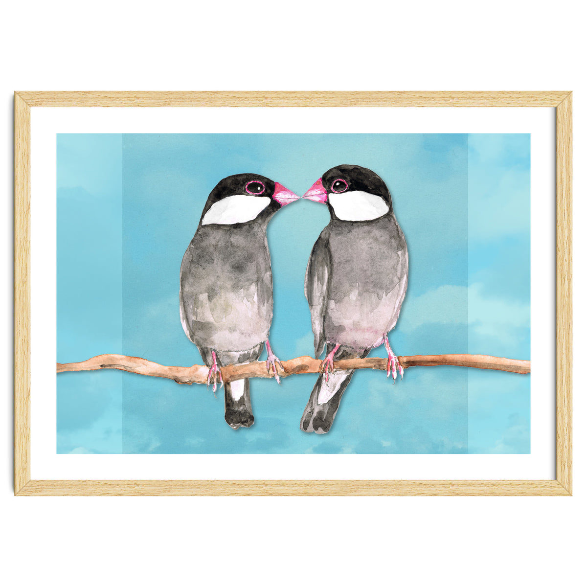 Two kissing Java sparrows