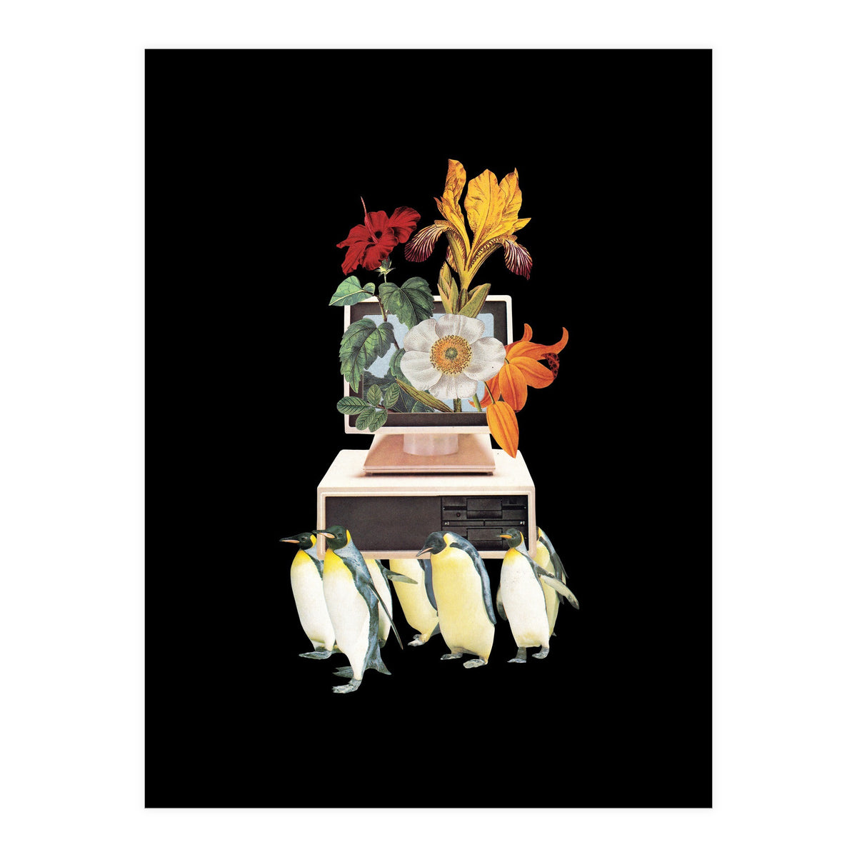 Penguin Os (Print Only)