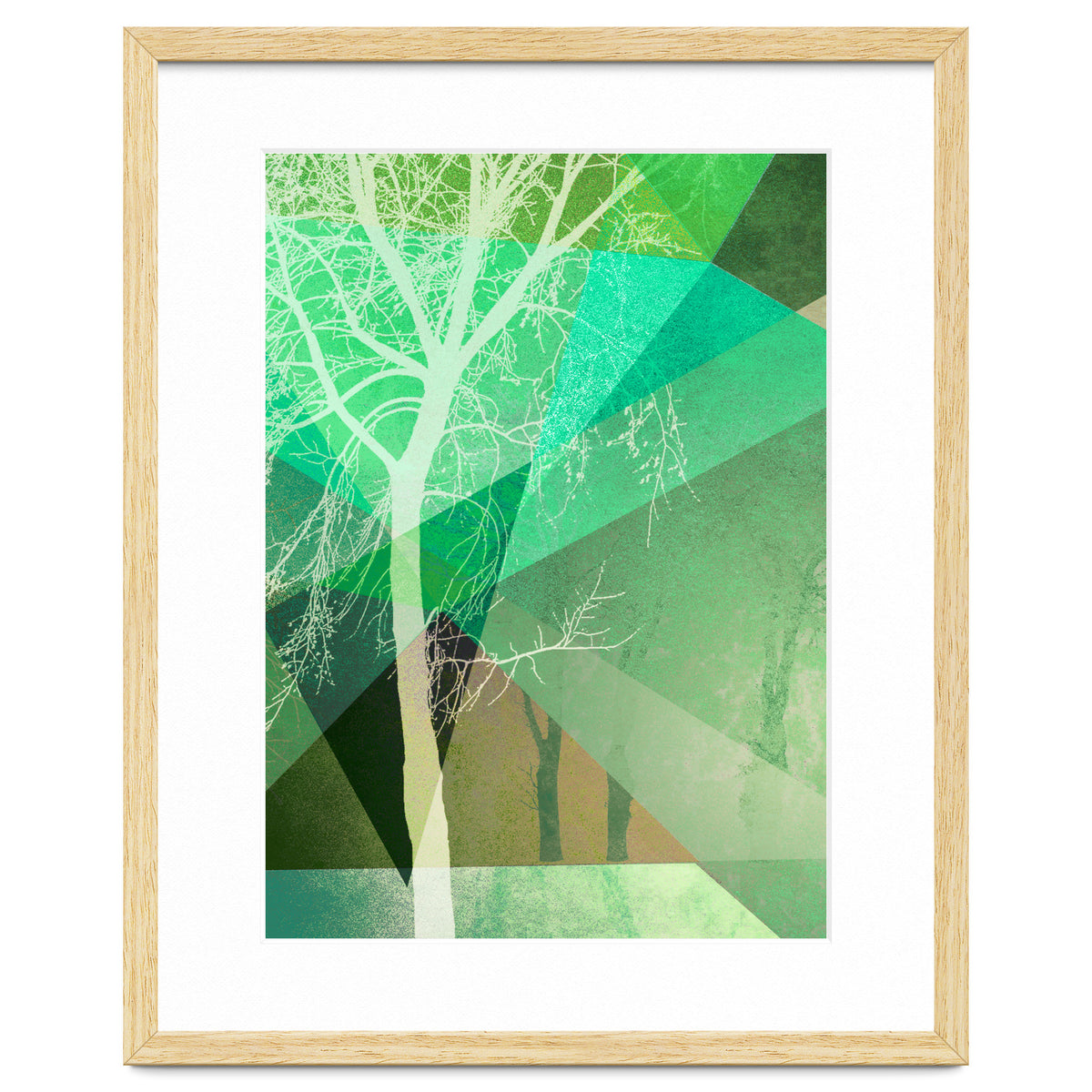 P22 B Trees And Triangles