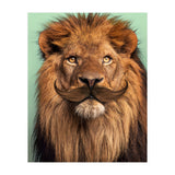 Bearded Lion (Print Only) thumbnail