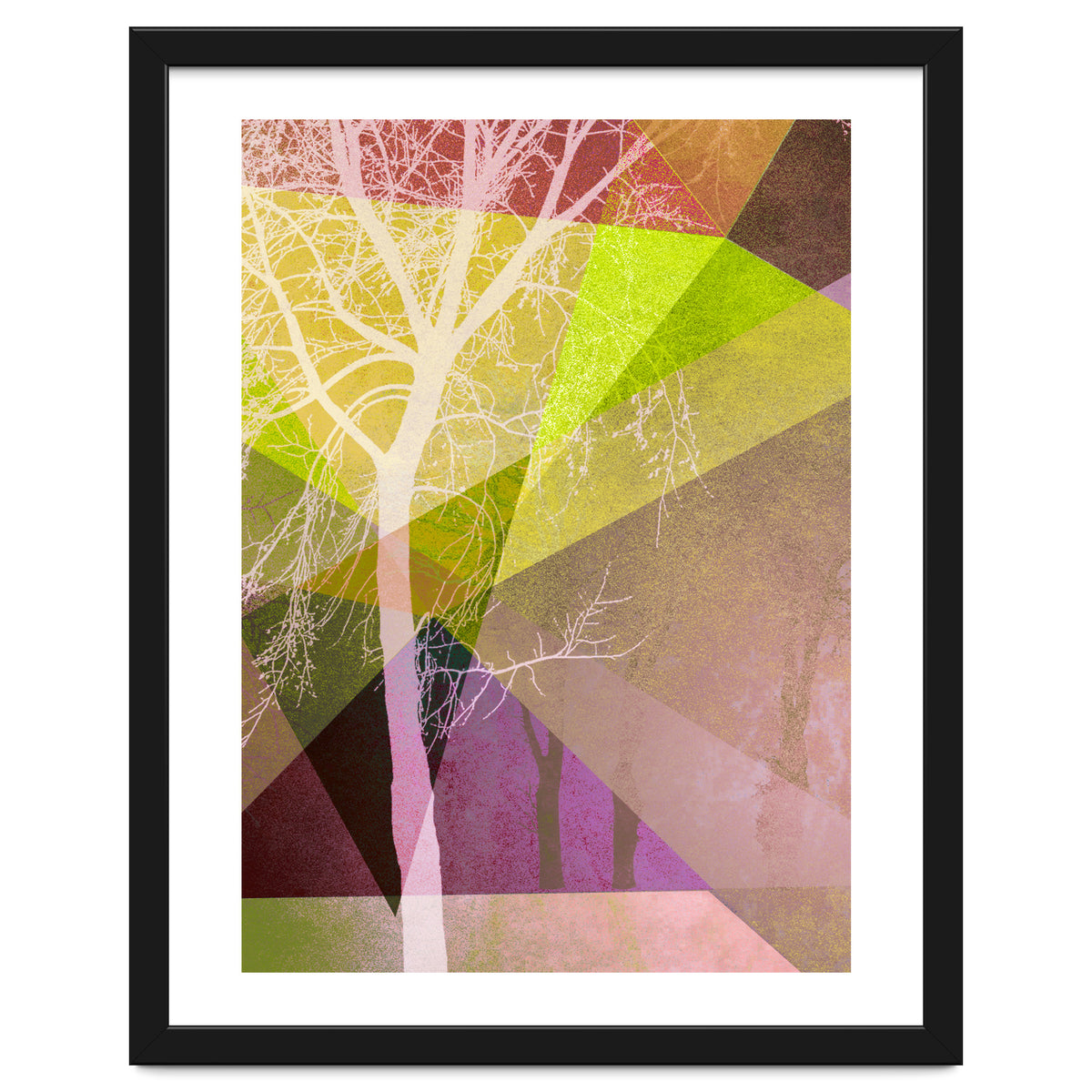 P22 Trees And Triangles