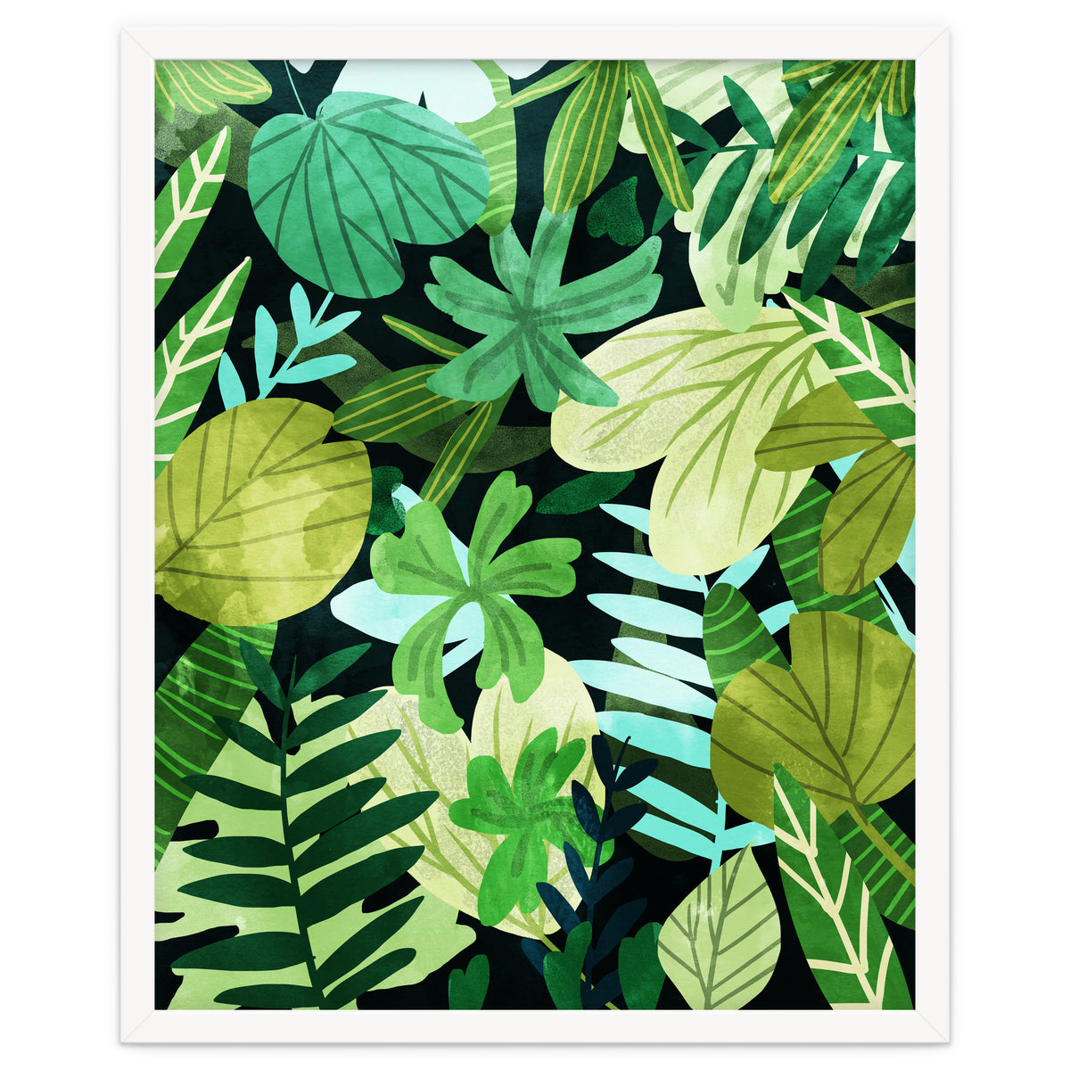 Rainforest Ii