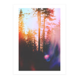 Finding Light (Print Only) thumbnail