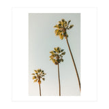 California (Print Only) thumbnail