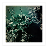 GREEN POEM (Print Only) thumbnail