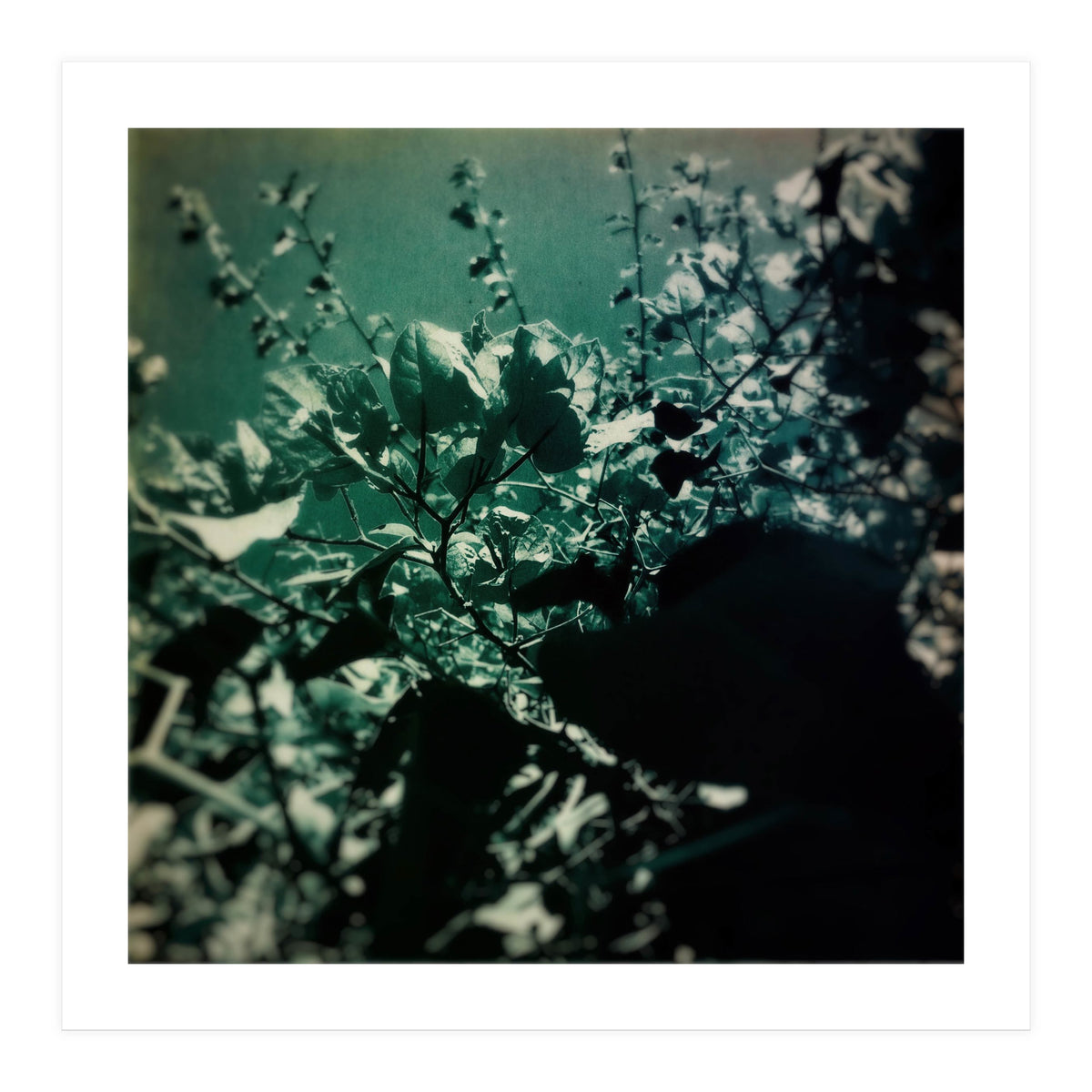 GREEN POEM (Print Only)