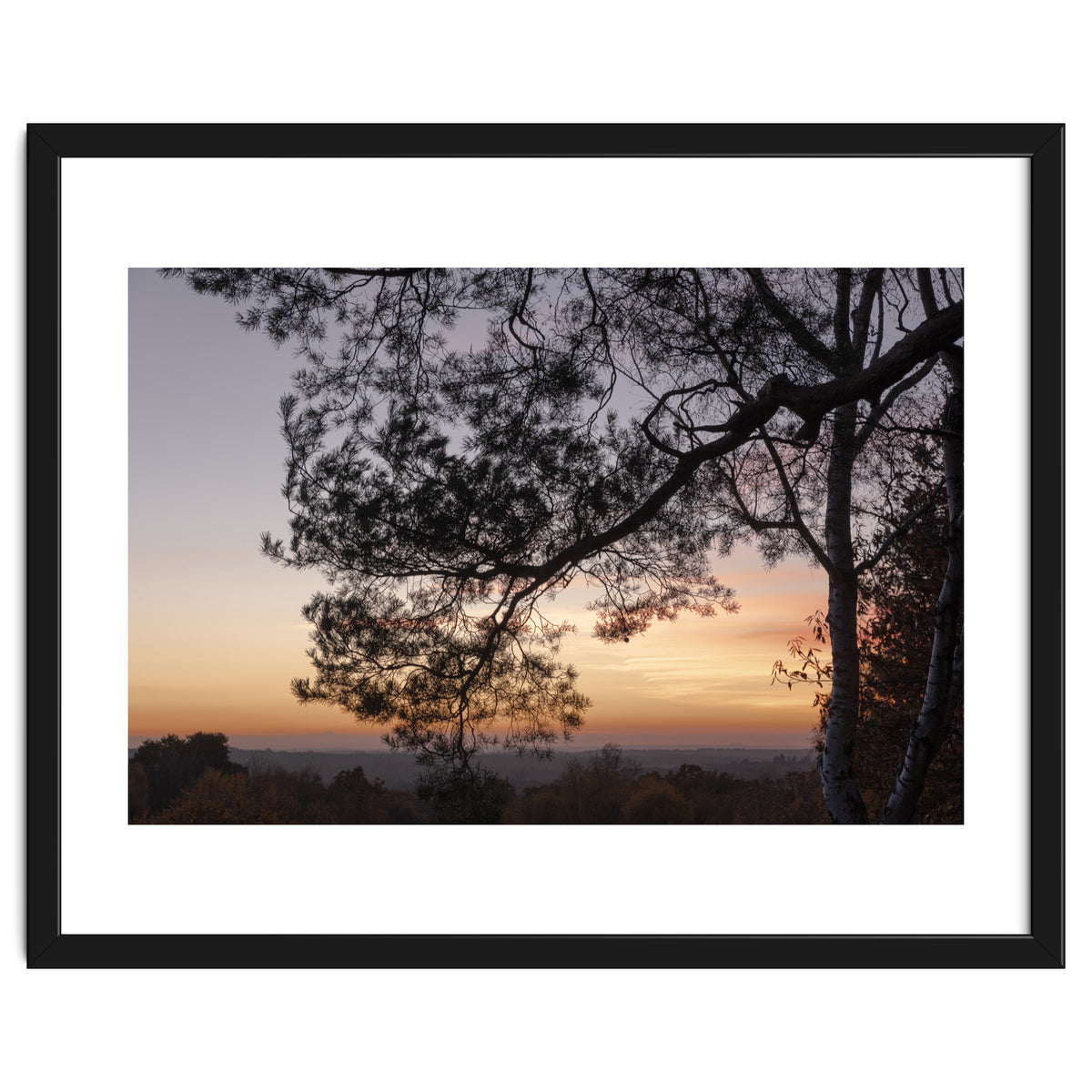 Sunset on Finchampstead Ridges - Berkshire