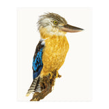 Cc Birds 07 (Print Only) thumbnail