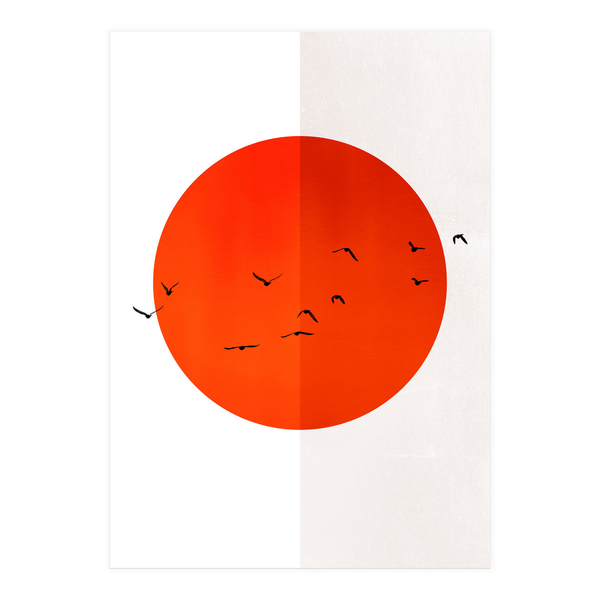 Seagulls Of The Sun (Print Only)