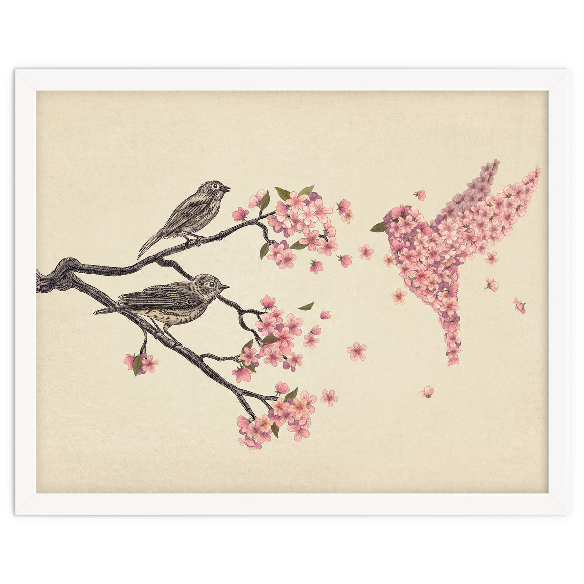 Blossom Bird