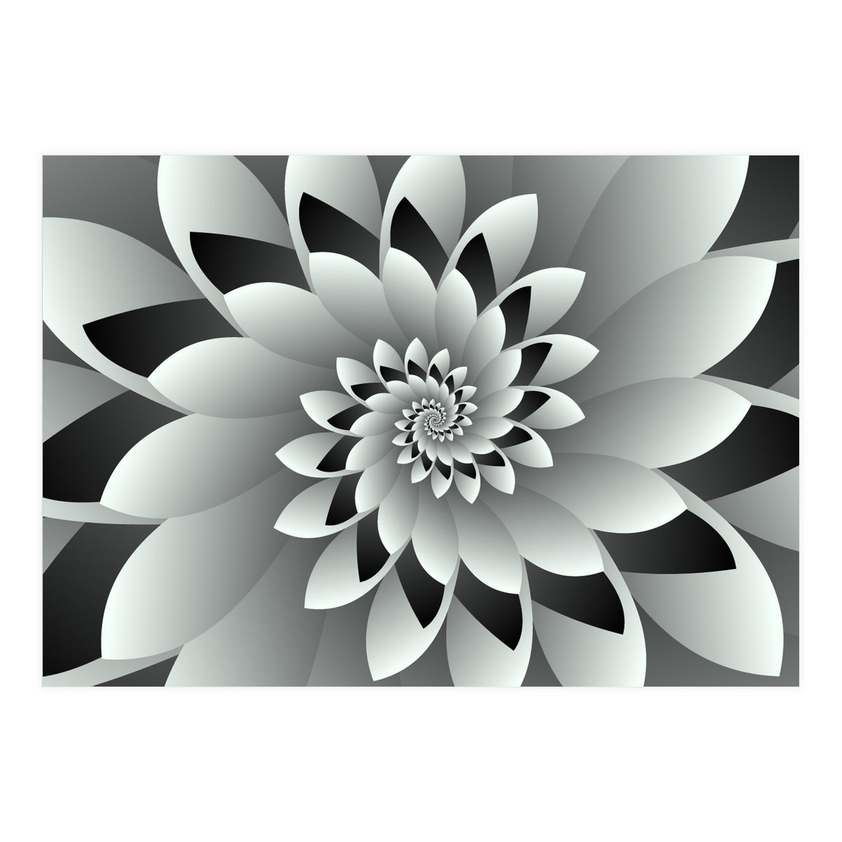 Black & White Floral (Print Only)