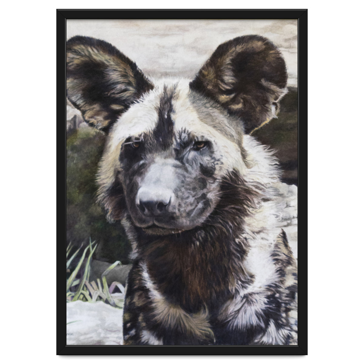 African Painted Dog II