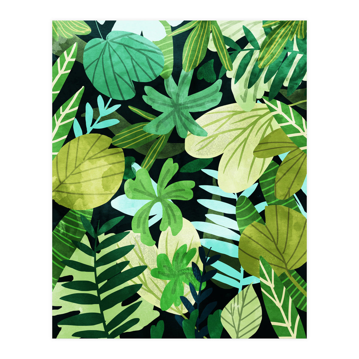 Rainforest Ii (Print Only)