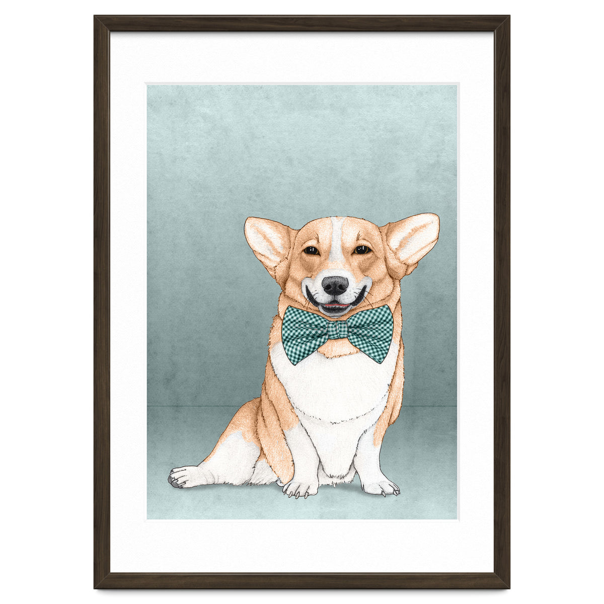 Corgi Dog