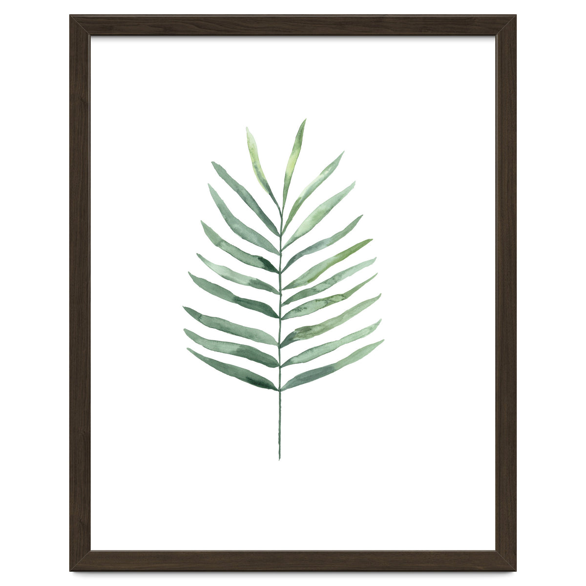 Botanical Illustration Fern