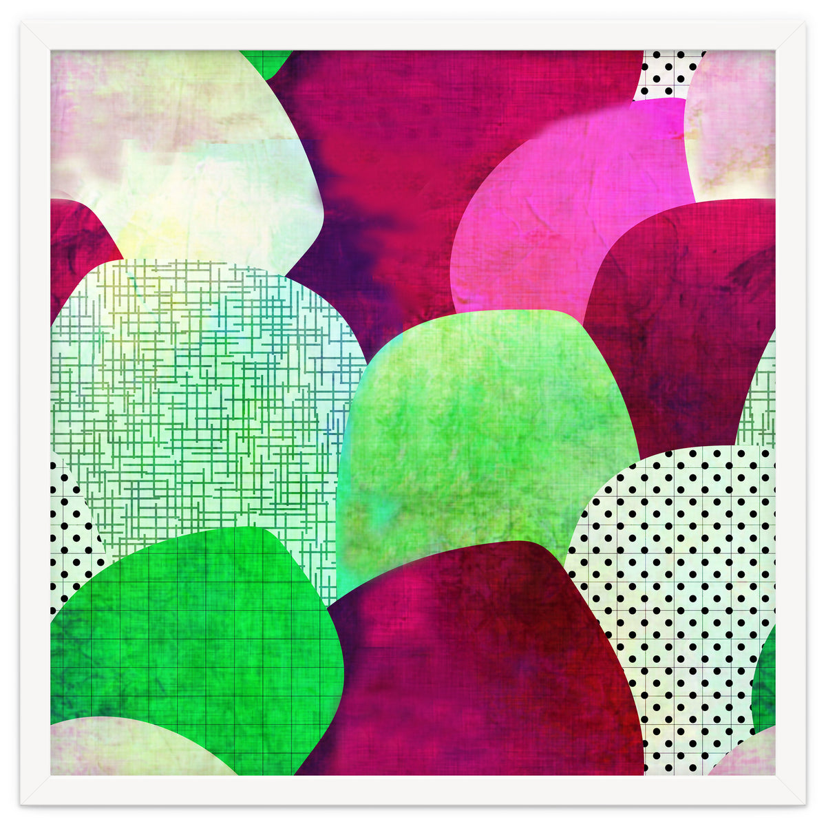 Opala Circles are the new triangles purple