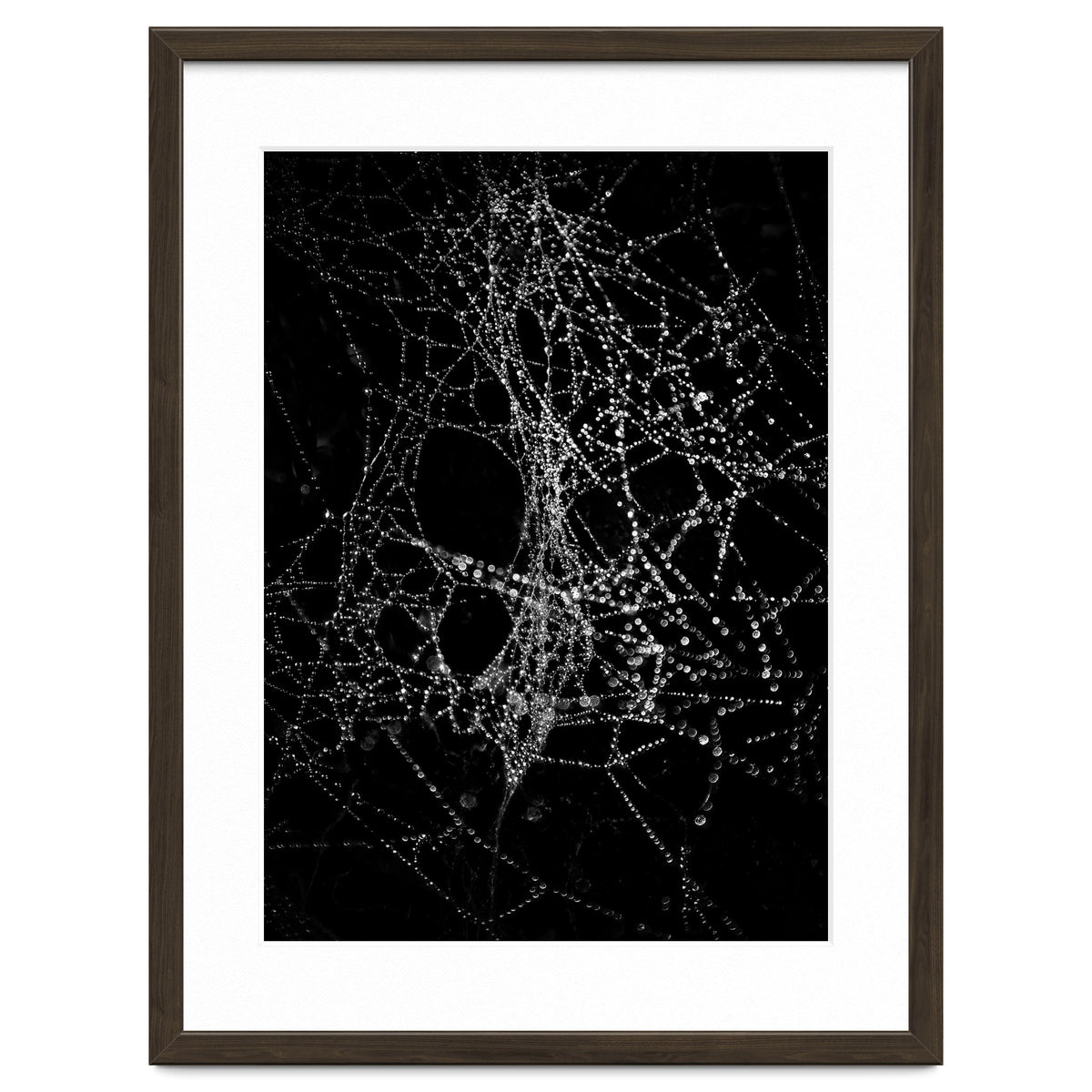 Spiderweb No 4