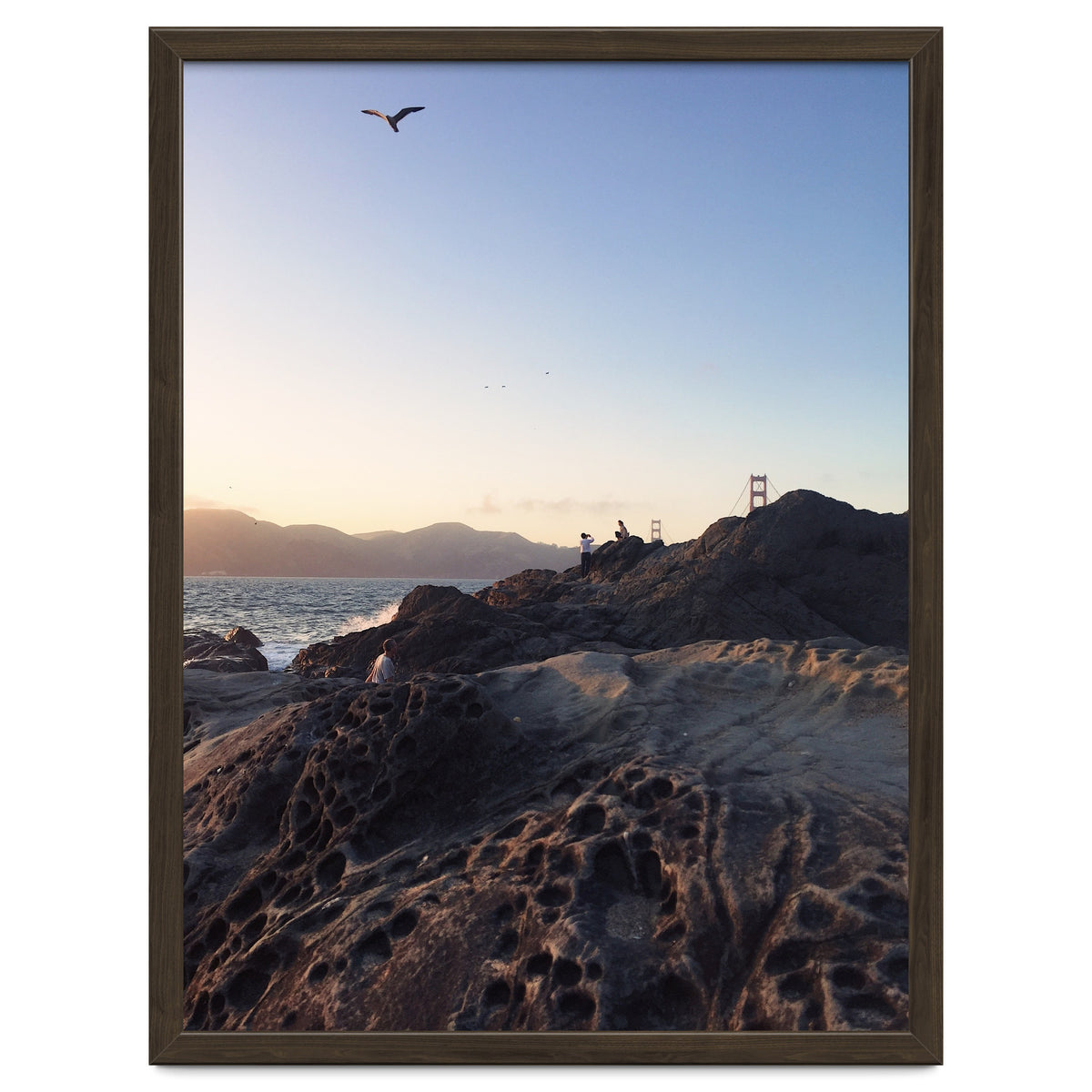 Golden Gate Bridge V