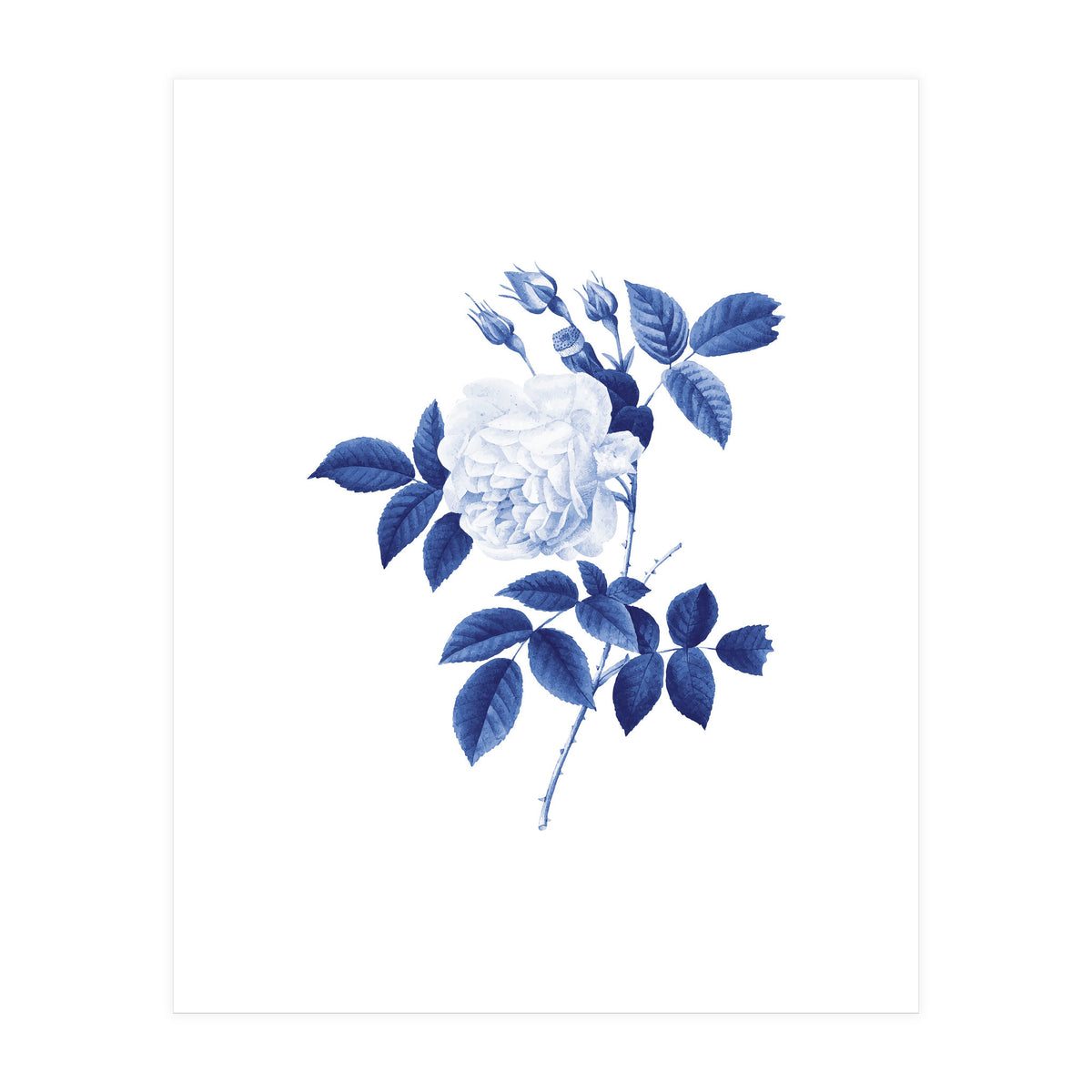 Blue Botanic II (Print Only)