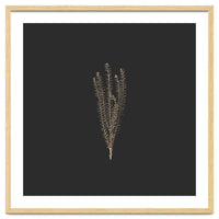 Delicate Fynbos Botanicals in Gold and Black - Square