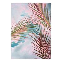 Palms + Sky (Print Only)