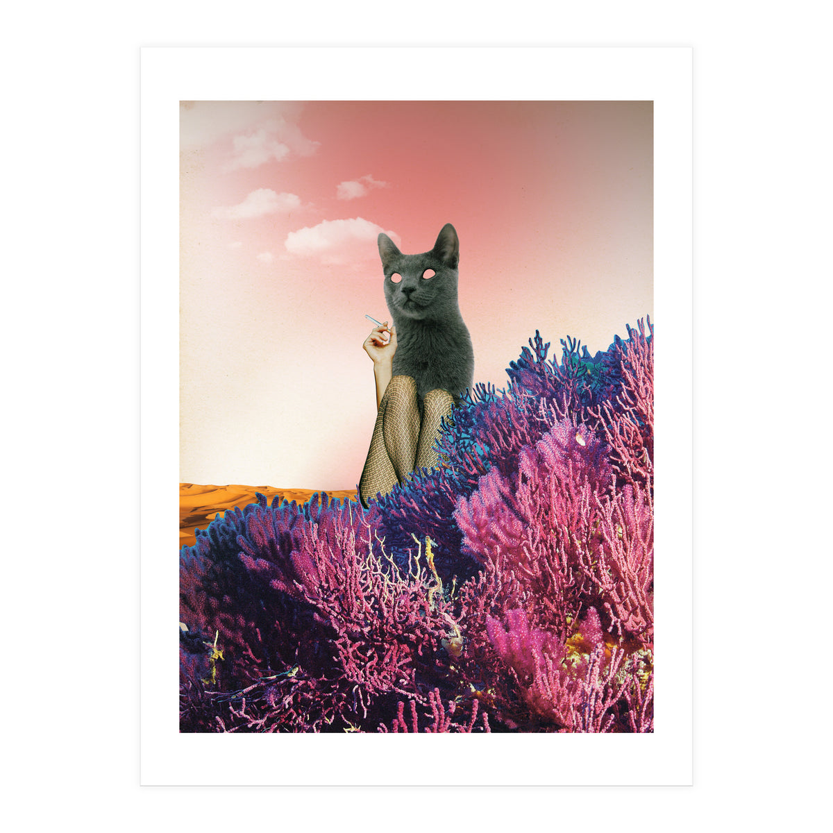 Atmosphere · The Funny Side (Print Only)