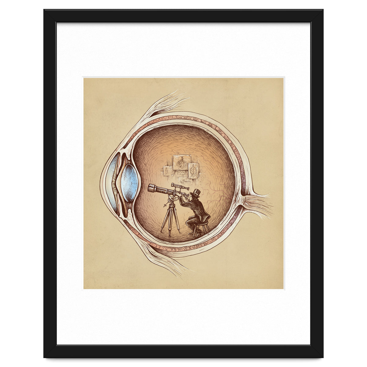 Extraordinary Observer