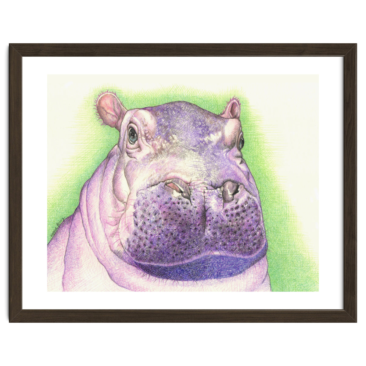 Purple Hippo