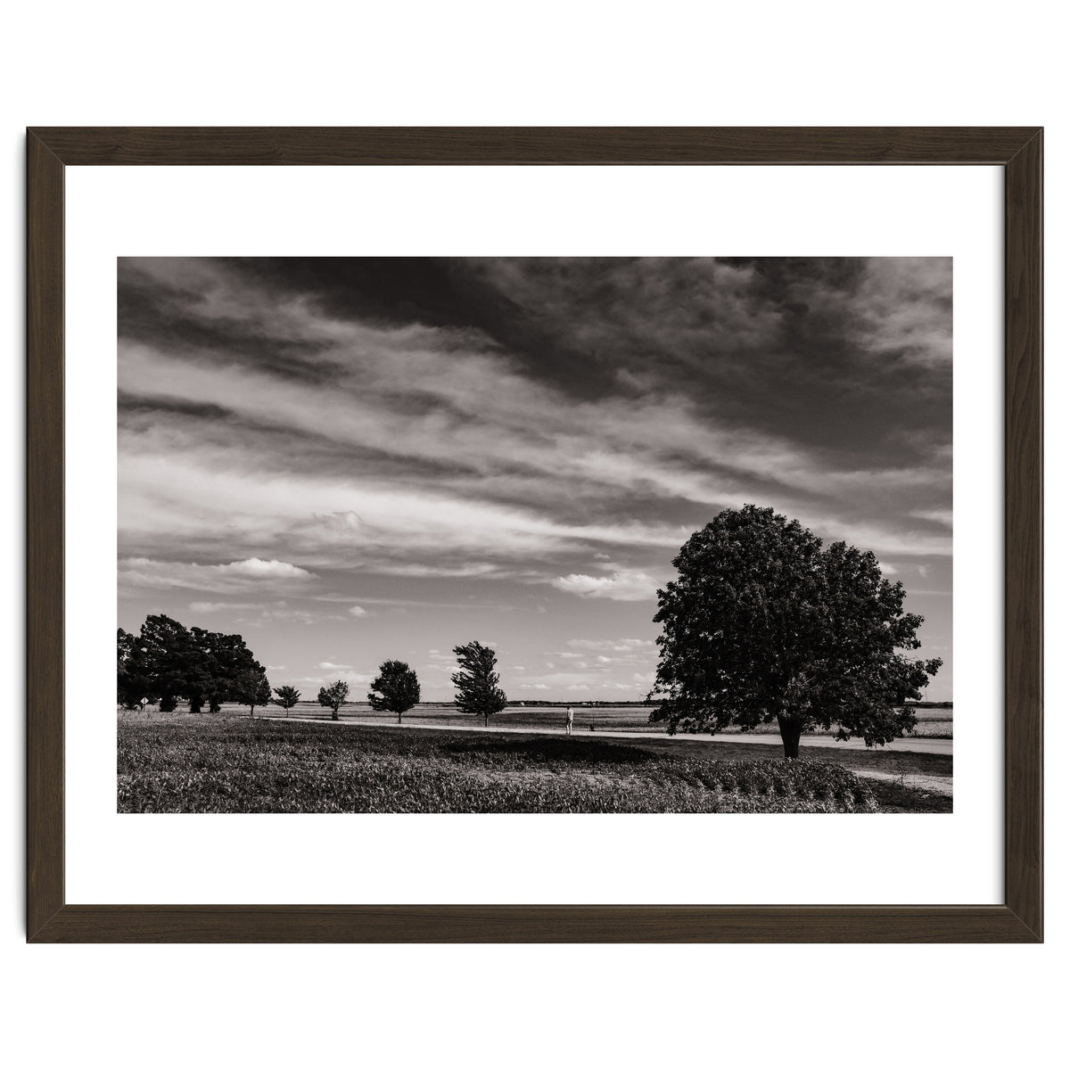Country Road, Illinois