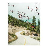 Flamingo Flight (Print Only) thumbnail