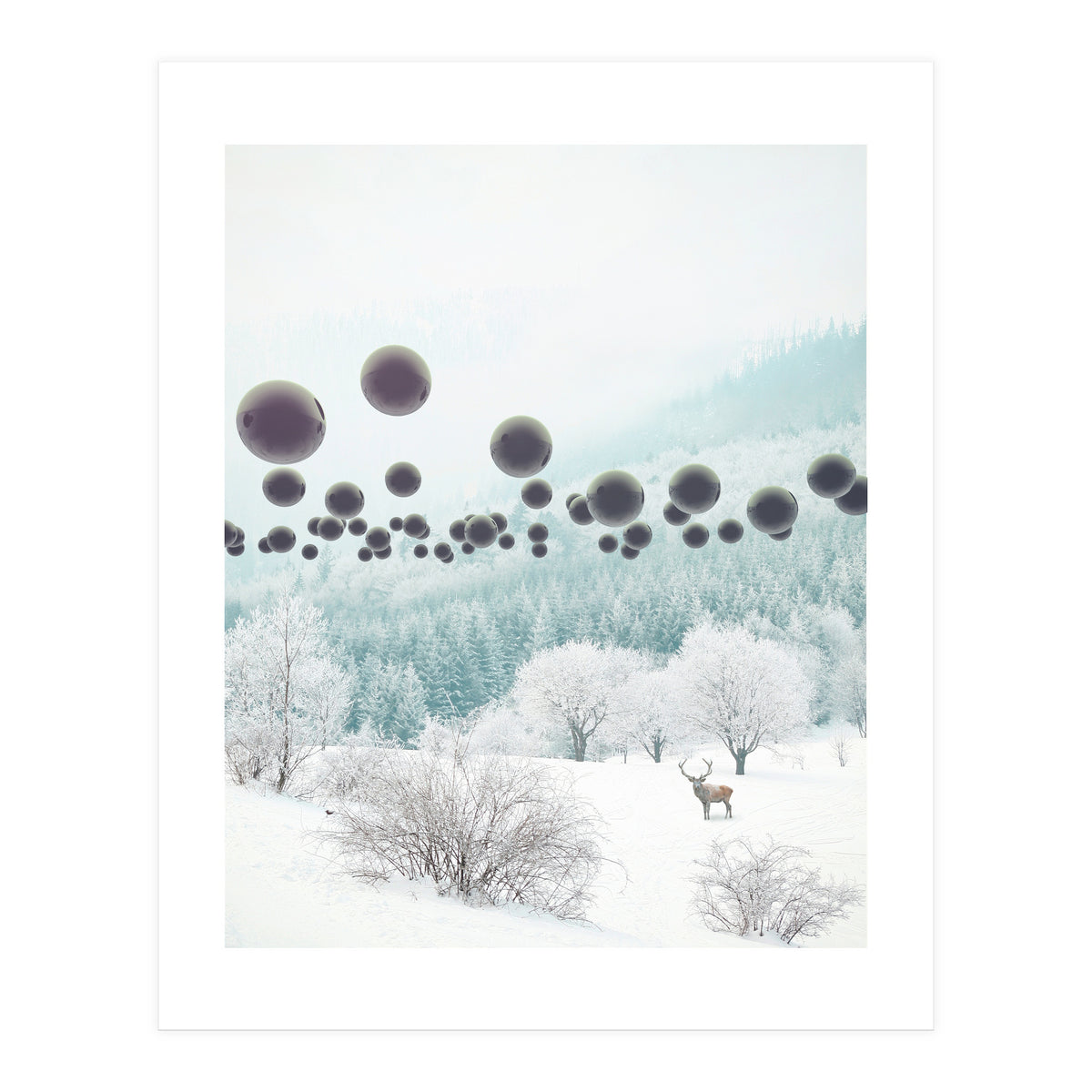 Forest Phantom (Print Only)