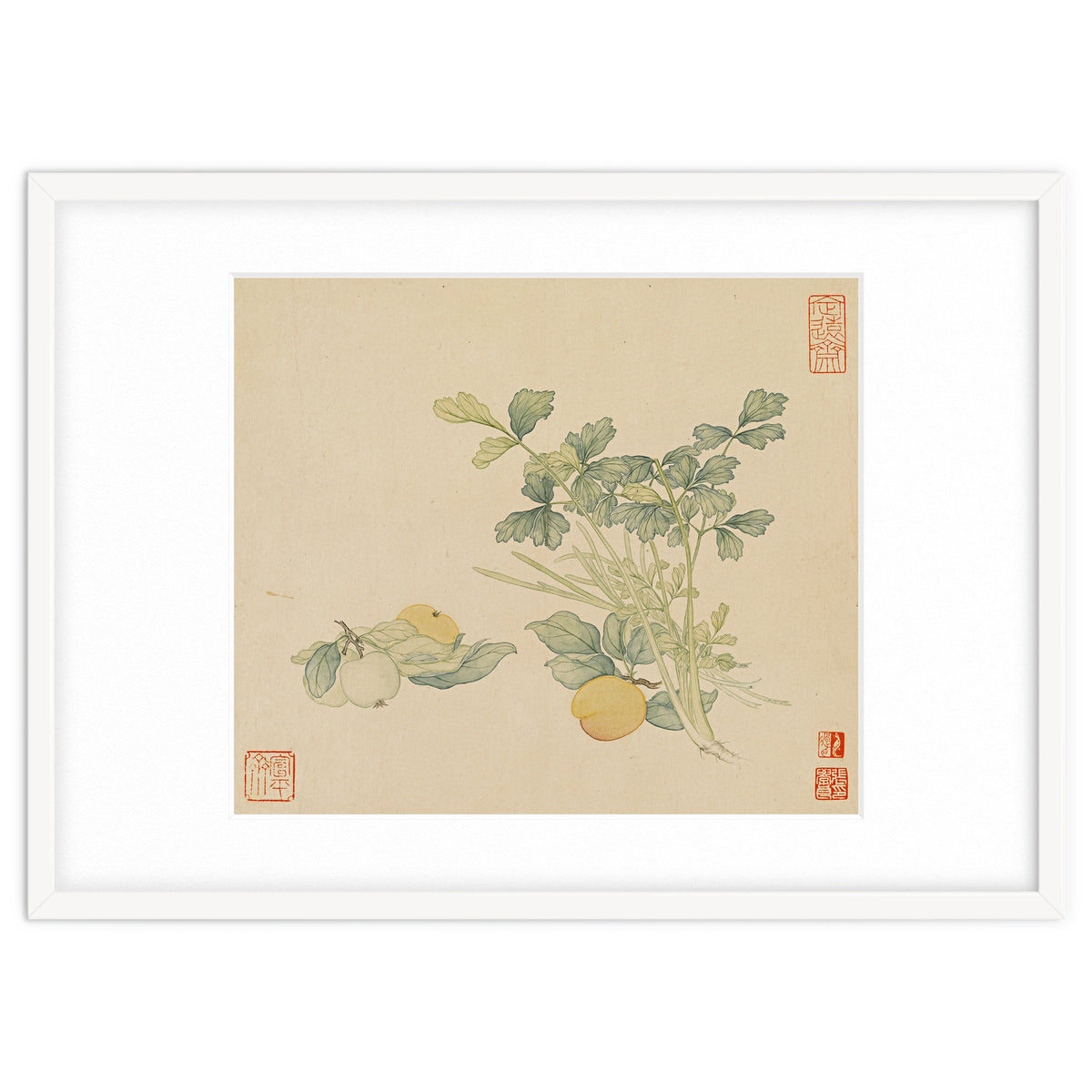 Wang Chengyu~flowers And Vegetables, Vegetables, Fruits, Plums, Apricots, Celery