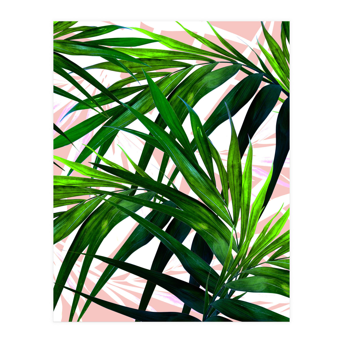 Dream paradise  (Print Only)