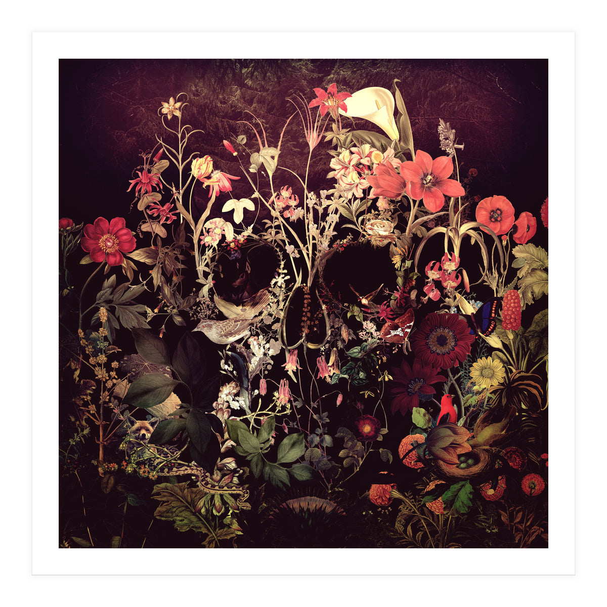 Bloom Skull (Print Only)